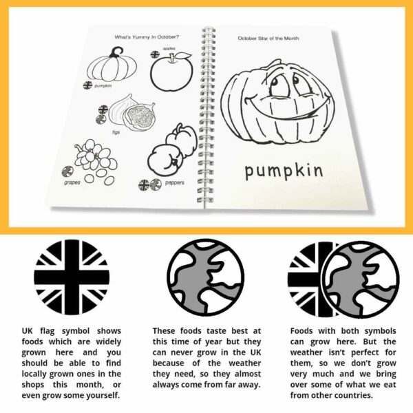 Infographic about the content of The Foodies Seasonal Food Fruit and Vegetable Colouring Book for kids, showing the seasonal food pages and explaining the symbols which teach children which foods grow in the UK and which are imported.